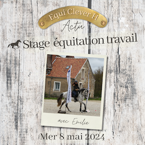 stage-working-equitation